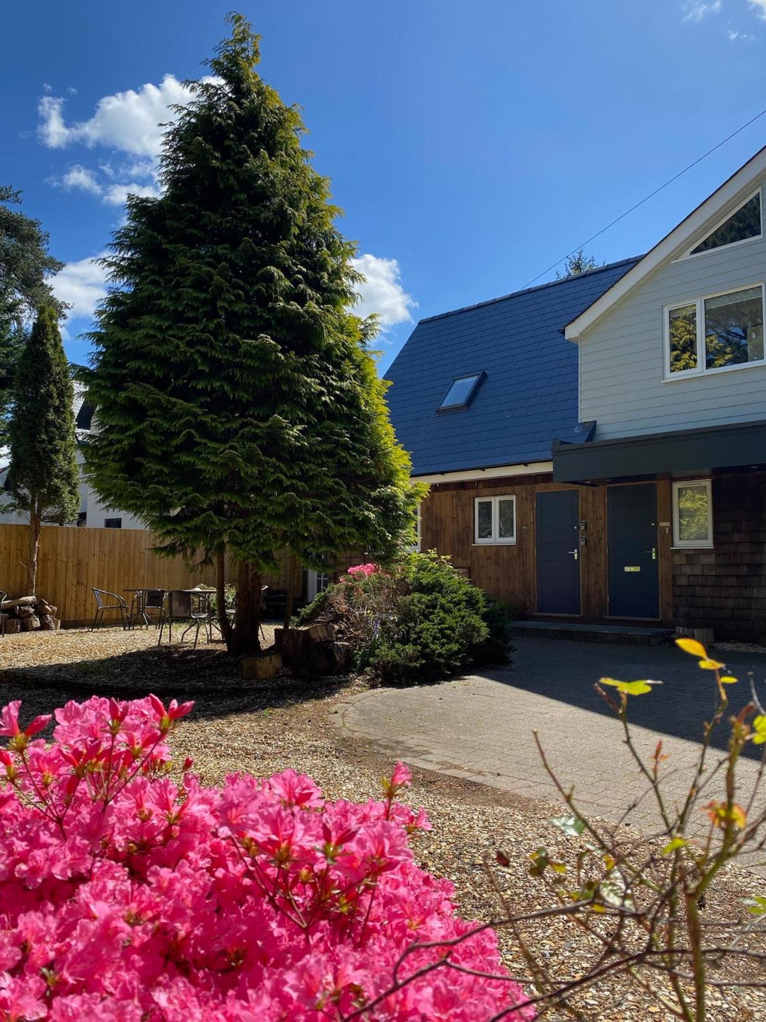Petherton Cottage Studios Ringwood Exterior foto