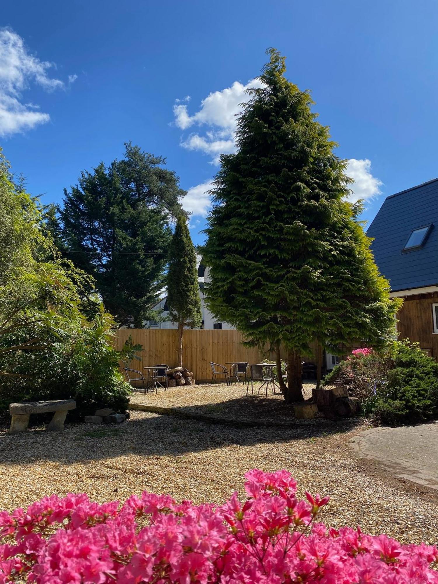 Petherton Cottage Studios Ringwood Exterior foto